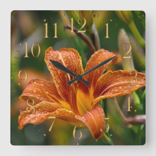 Orange daylily- & Raindropsblommafoto Fyrkantig Klocka