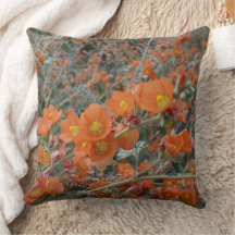 Orange Desert Globemallow Flowers in Bloom