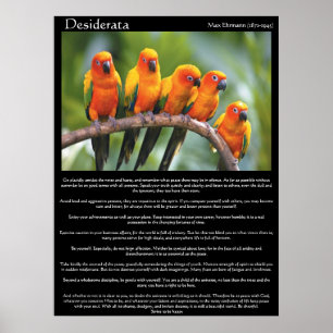Orange Desiderata fem och grön kanariefågel Poster