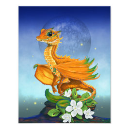 Orange Dragon 11 x 14 Skriv ut Fototryck