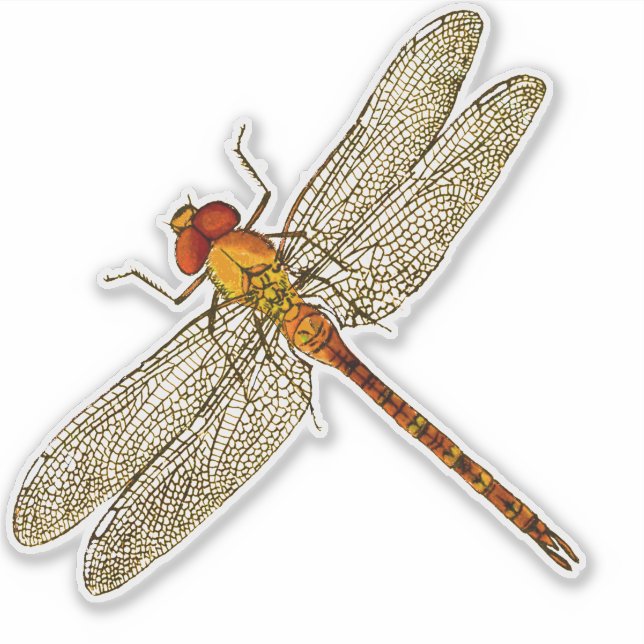 Orange Dragonfly-kontur Klistermärken (Framsida)