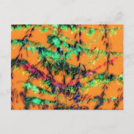 Orange du Glad Vykort