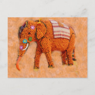 Orange Elephant Vykort