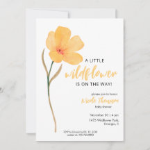 Orange En Liten Vildblomma På Väg Babykalas