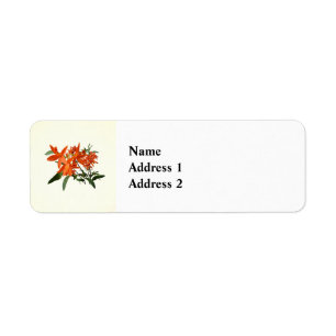 Orange Epidendrum orkidé Returadress Etikett