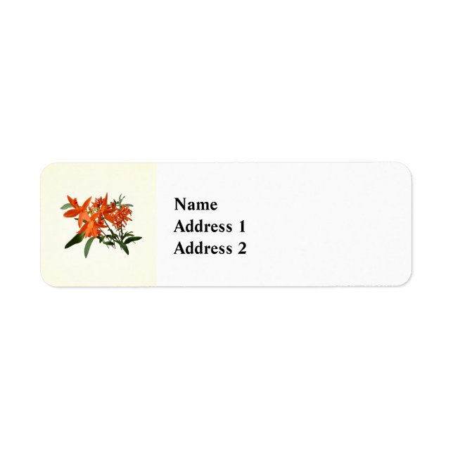 Orange Epidendrum orkidé Returadress Etikett (Framsidan)