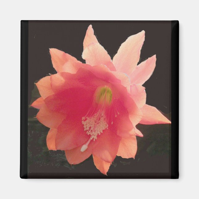 Orange Epiphyte Magnet (Framsidan)