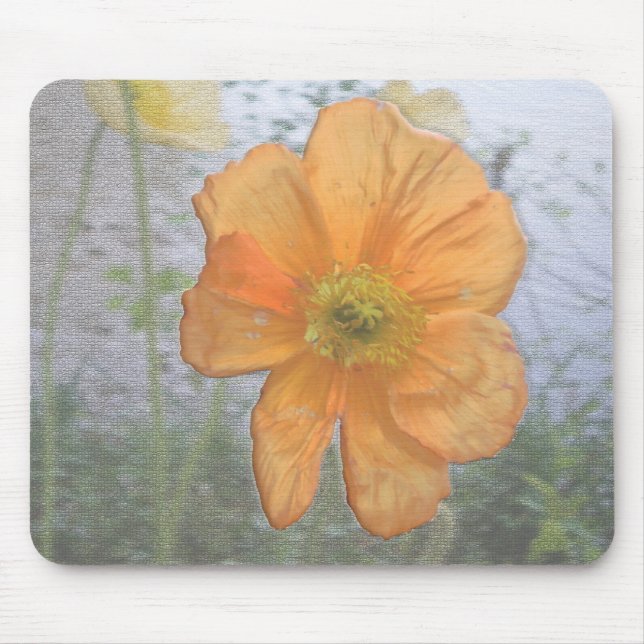 Orange Esence Musmatta (Framsidan)