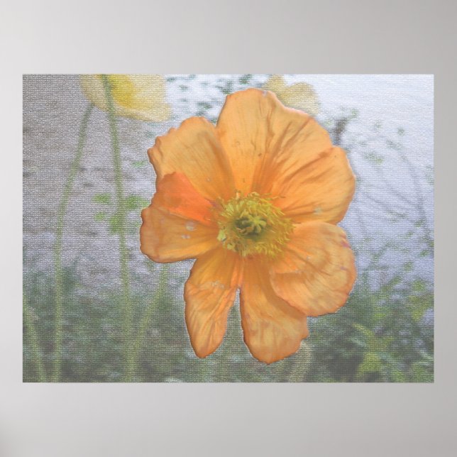 Orange Esence Poster (Framsidan)