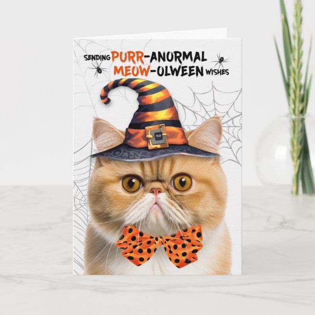 Orange Exotic Halloween Cat PURRanormal MEOWolween Helgkort (Framsida)