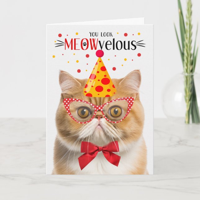 Orange Exotic Shorthair Cat MEOWvelous Birthday Kort (Framsida)
