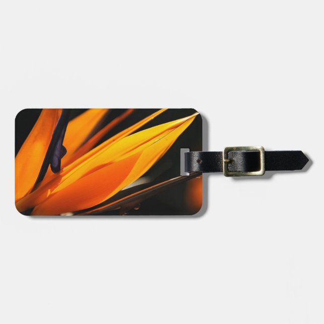 Orange fågel av paradisStrelitzia Bagagebricka (Horisontell Framsida)