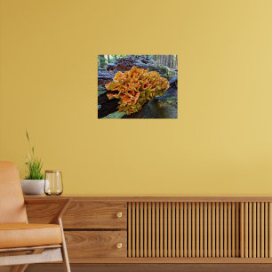 Orange Fågelsvamp Poster