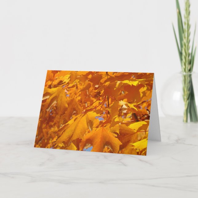 Orange Fall Trädblad Julkort Höst Kort (Framsida)