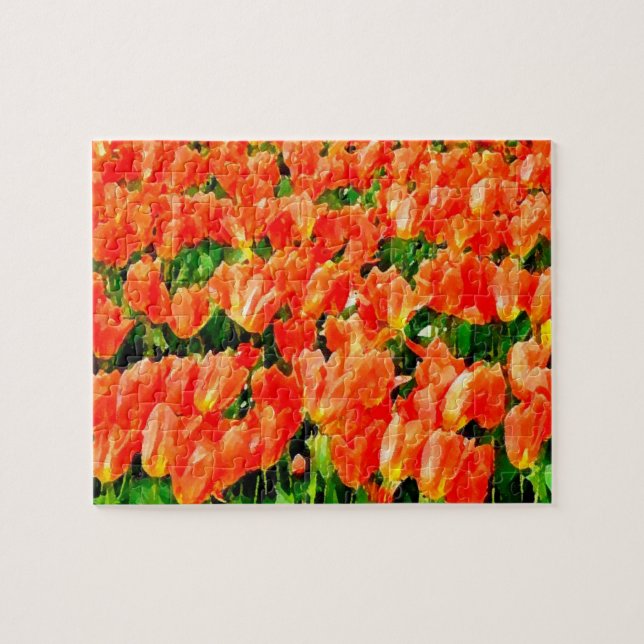 Orange fält i tulpaner pussel (Horisontell)