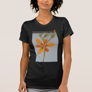 Orange-fläckig Iris kallade en Blackberry lily Tee