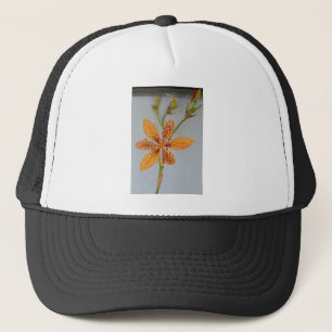 Orange-fläckig Iris kallade en Blackberry lily Truckerkeps