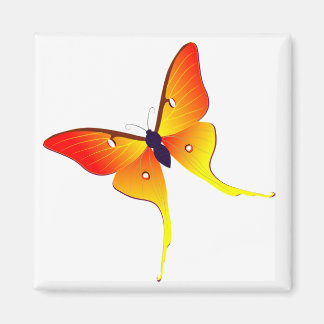 Orange Flame Butterfly Square Magnet