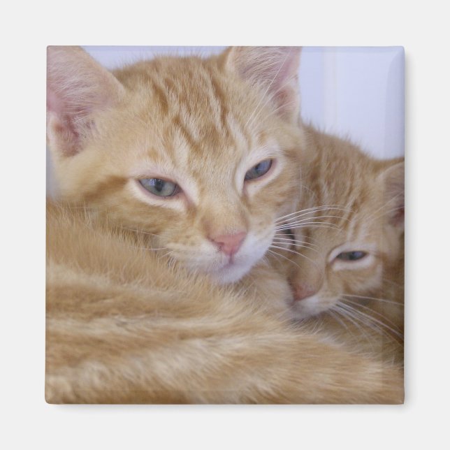 Orange-flikar Magnet (Framsidan)