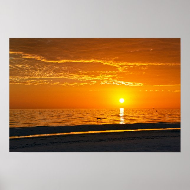 Orange Florida Solnedgång Poster (Framsidan)