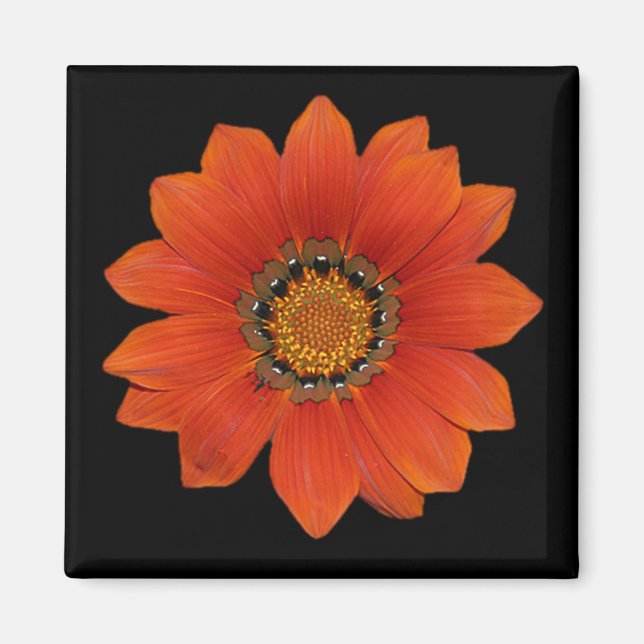 Orange Flower 2 Magnet (Framsidan)
