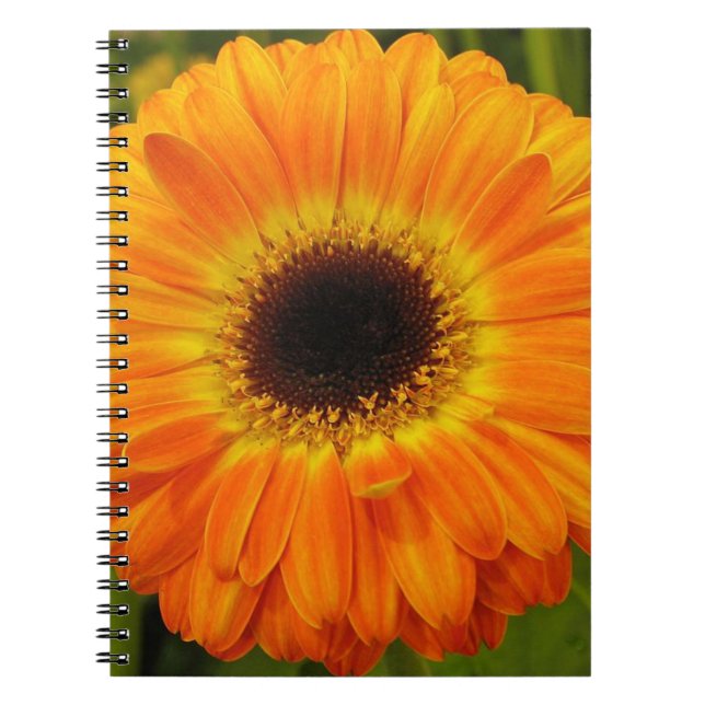 Orange Flower anteckningsbok Med Spiral (Framsidan)