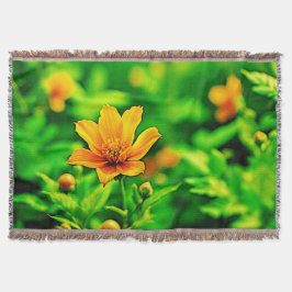 Orange Flower Bokeh Sunny Filt