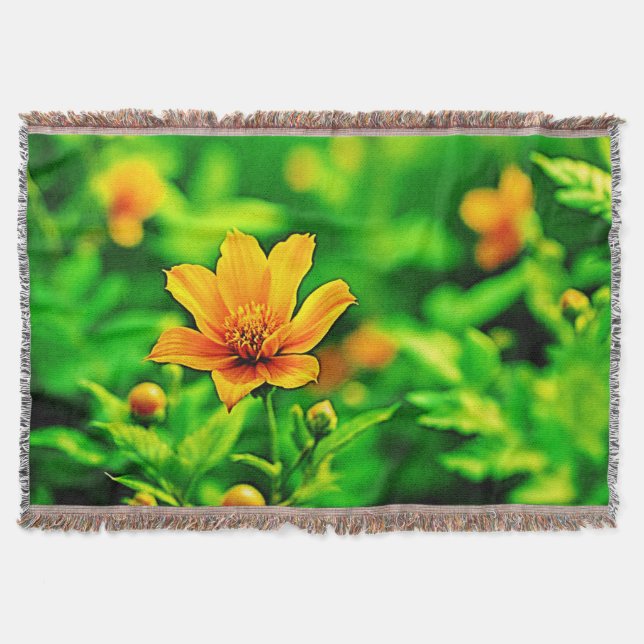 Orange Flower Bokeh Sunny Filt (Framsidan)