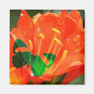 Orange Flower Fjäril Fyrkantig Magnet