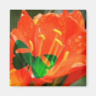 Orange Flower Fjäril Fyrkantig Magnet