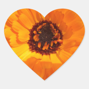 Orange Flower Heart - förslutning Hjärtformat Klistermärke