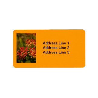 Orange Flowers i etiketten Smoky Mountains Adressetikett