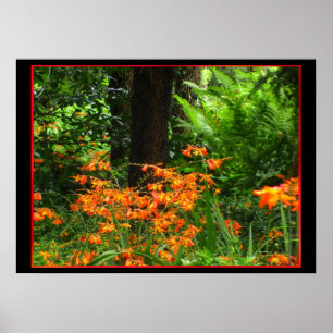Orange Flowers i skogen Poster