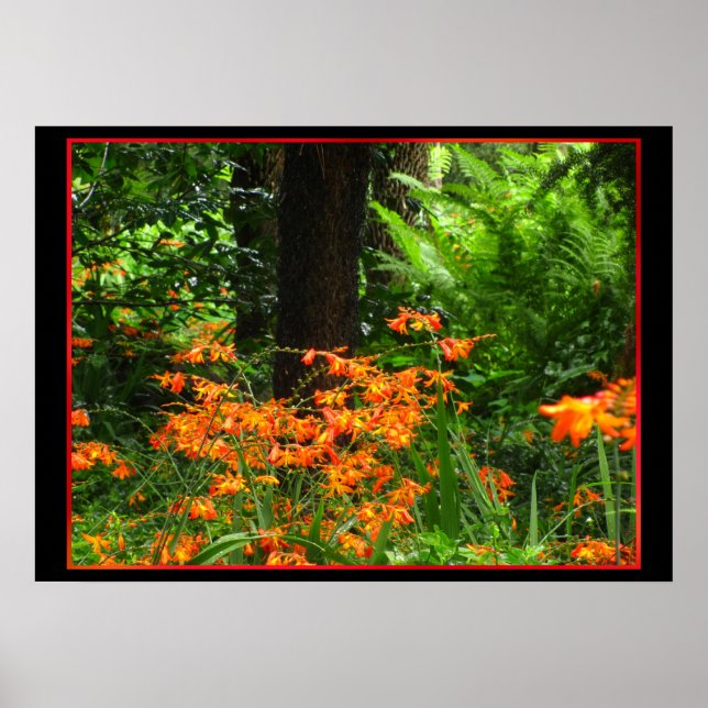 Orange Flowers in Forest Poster (Framsidan)