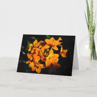 Orange Flowers-kort Kort