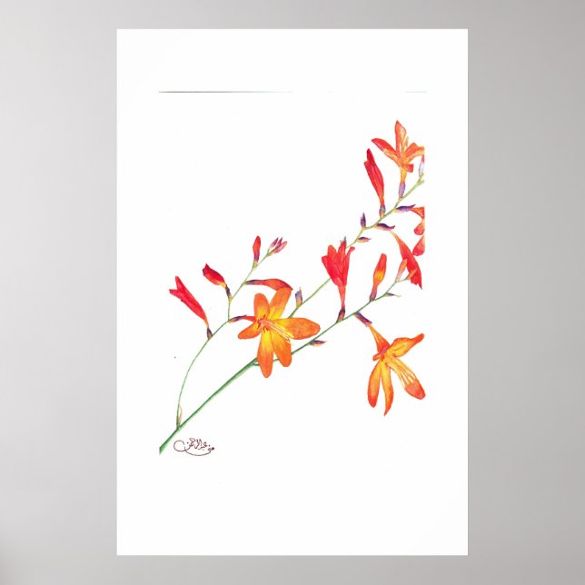 Orange Flowers Poster (Framsidan)
