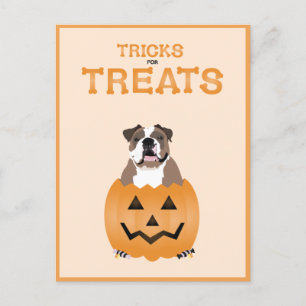 Orange för Treats English Bulldog Helg Vykort
