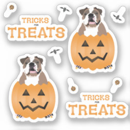 Orange för Treats English Bulldog Klistermärken