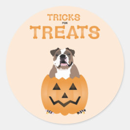 Orange för Treats English Bulldog Runt Klistermärke
