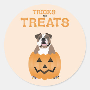 Orange för Treats English Bulldog Runt Klistermärke