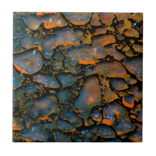 Orange fossiliserat dinosaurie-ben kakelplatta