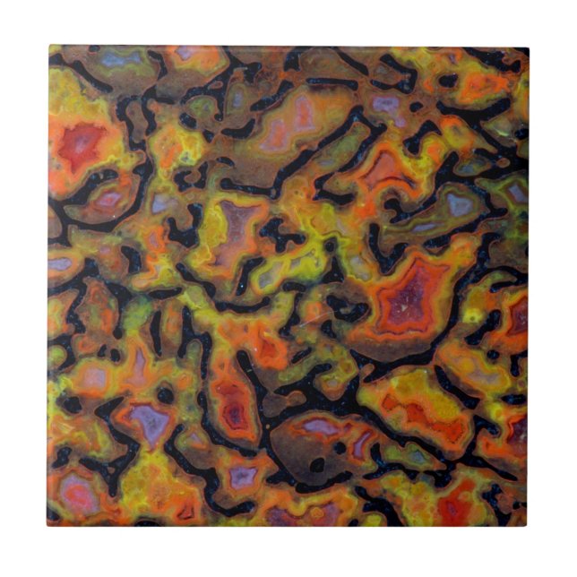 Orange fossiliserat dinosaurieben kakelplatta (Framsidan)