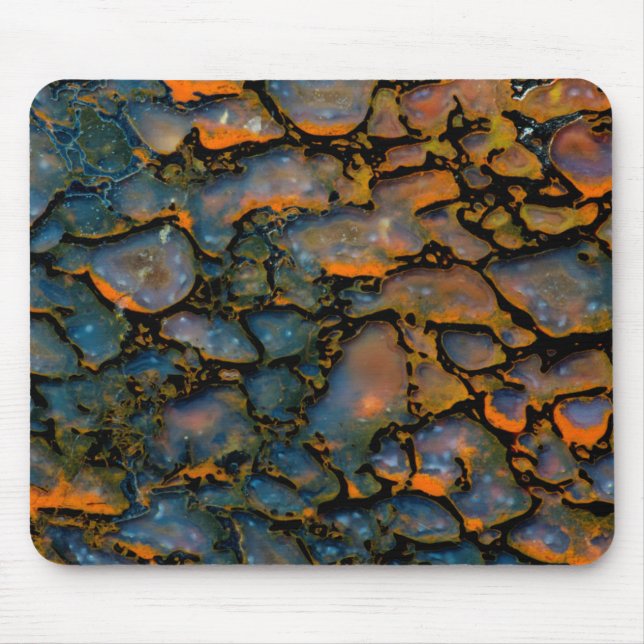 Orange fossiliserat dinosaurieben musmatta (Framsidan)