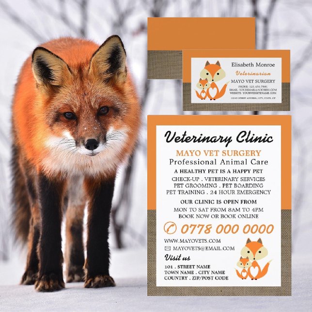 Orange Fox, veterinär, veterinärtjänst Reklamblad (Skapare uppladdad)