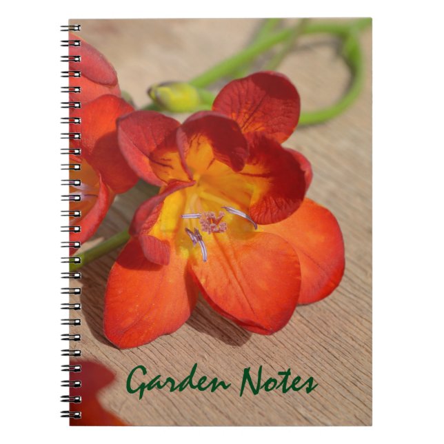 Orange Freesia Flower Notebook Anteckningsbok (Framsidan)
