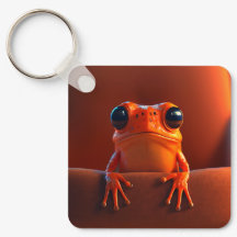 Orange Frog