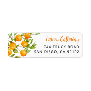 Orange Fruit Return-adressetikett Returadress Etikett
