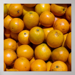Orange Frukt Florida-orangen Poster