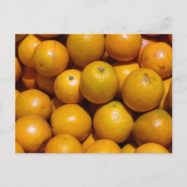 Orange Frukt Florida-orangen Vykort (Framsida)