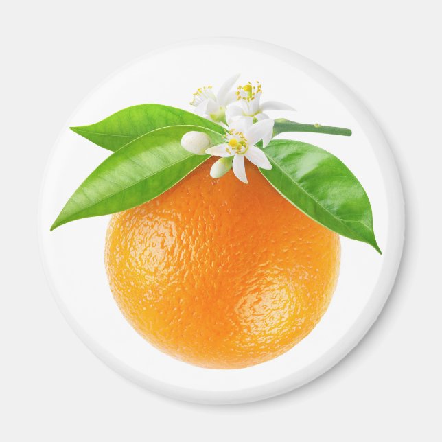 Orange frukt och blommor magnet (Framsidan)